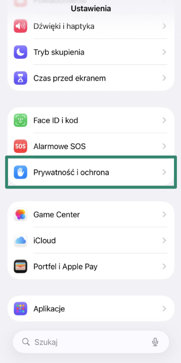 iPhone Settings screen with Privacy & Security highlighted.