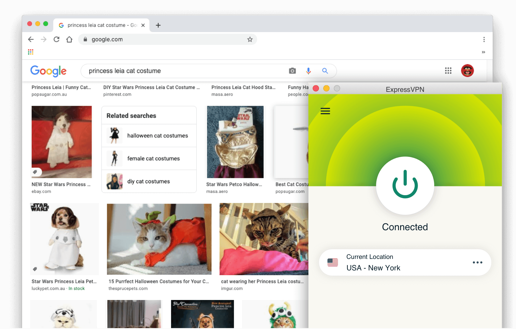 Wyniki wyszukiwania Google: Princess Leia cat costume z włączoną usługą ExpressVPN.