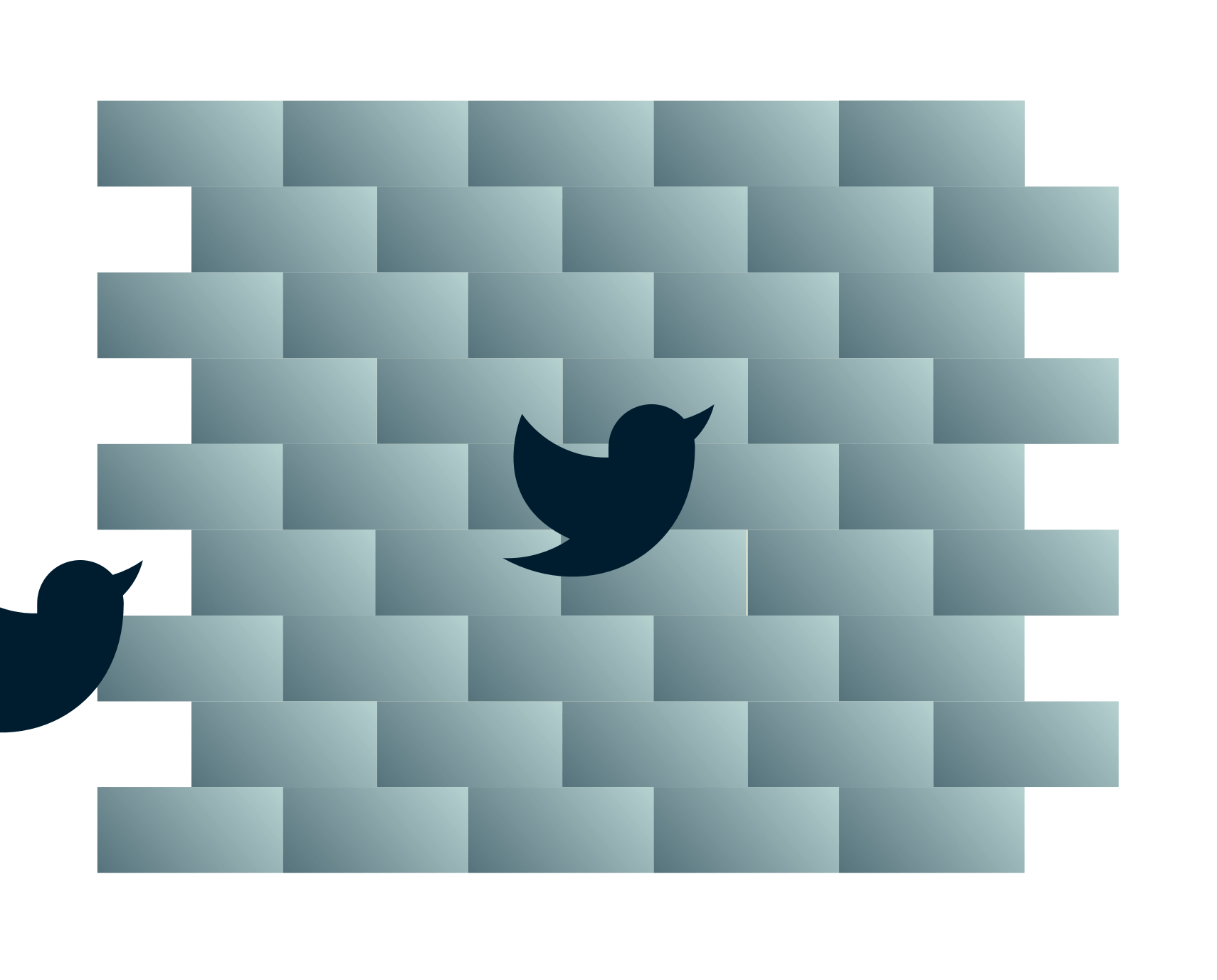 Los pájaros de Twitter se dirigen a un muro.